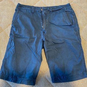 Express Blue Shorts